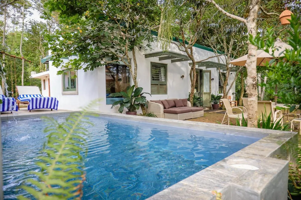 Guest house Tranquilisle Hotel Kandy
