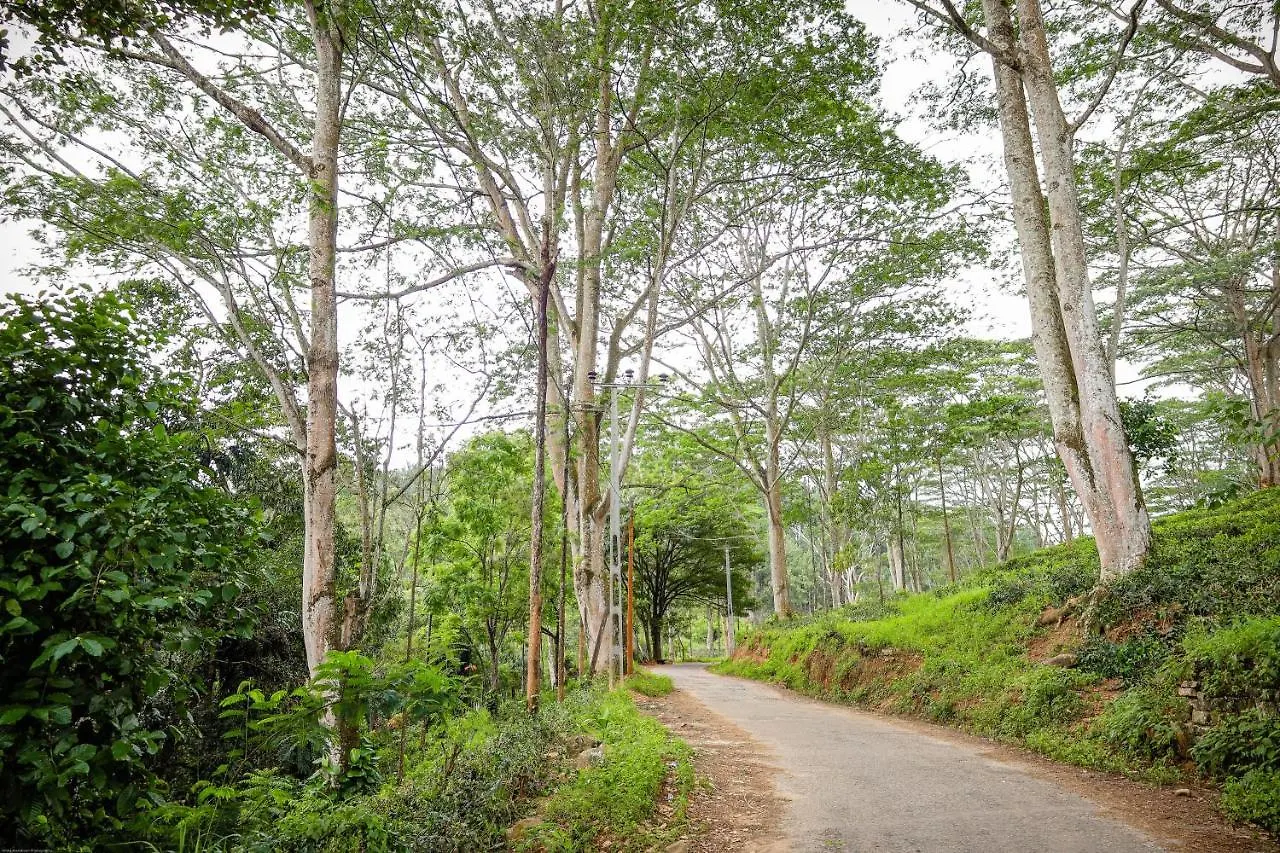Tranquilisle Hotel Kandy Guest house