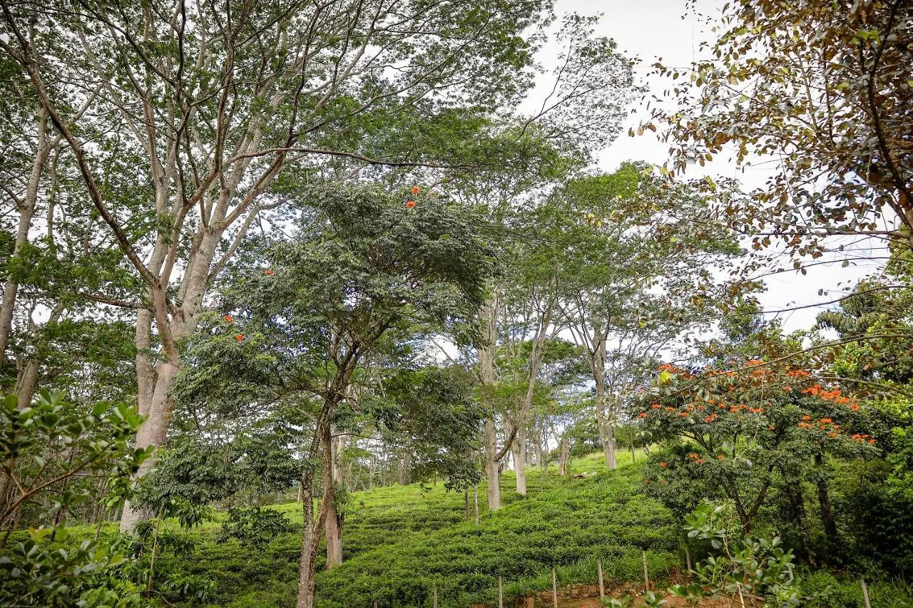 Guest house Tranquilisle Hotel Kandy Sri Lanka